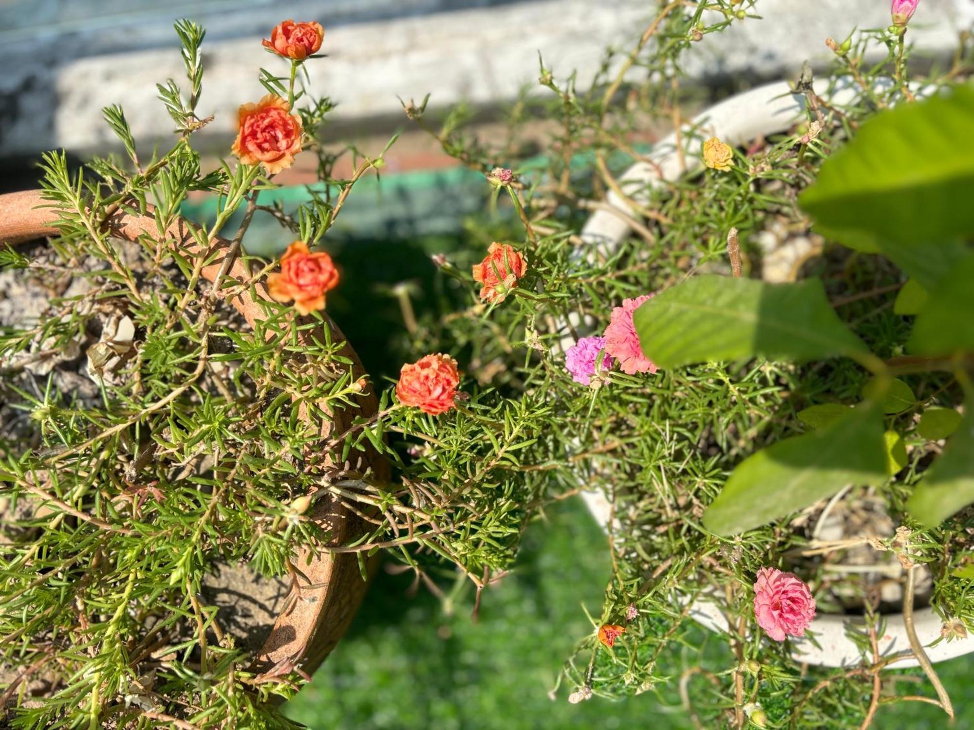 Good Morning Hoi An Homestay And Hostel Exteriér fotografie